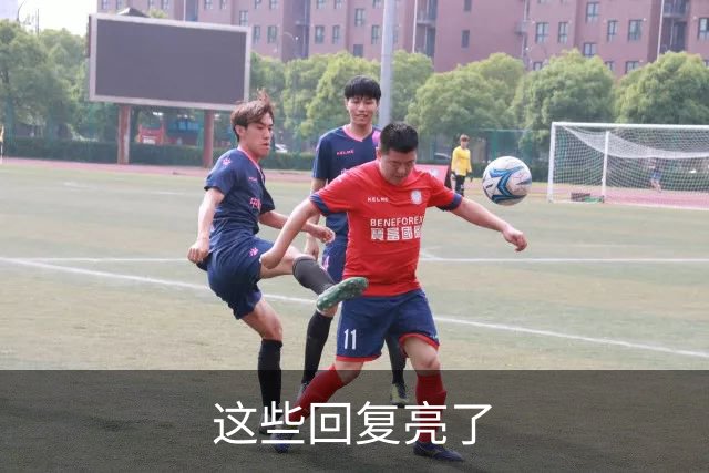 这些回复亮了